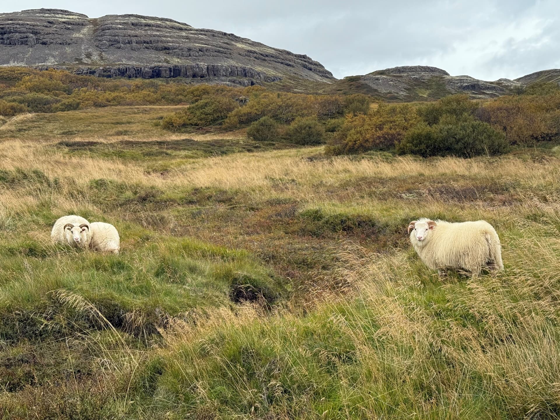 Í leitum á Langavatnsdal – myndasyrpa