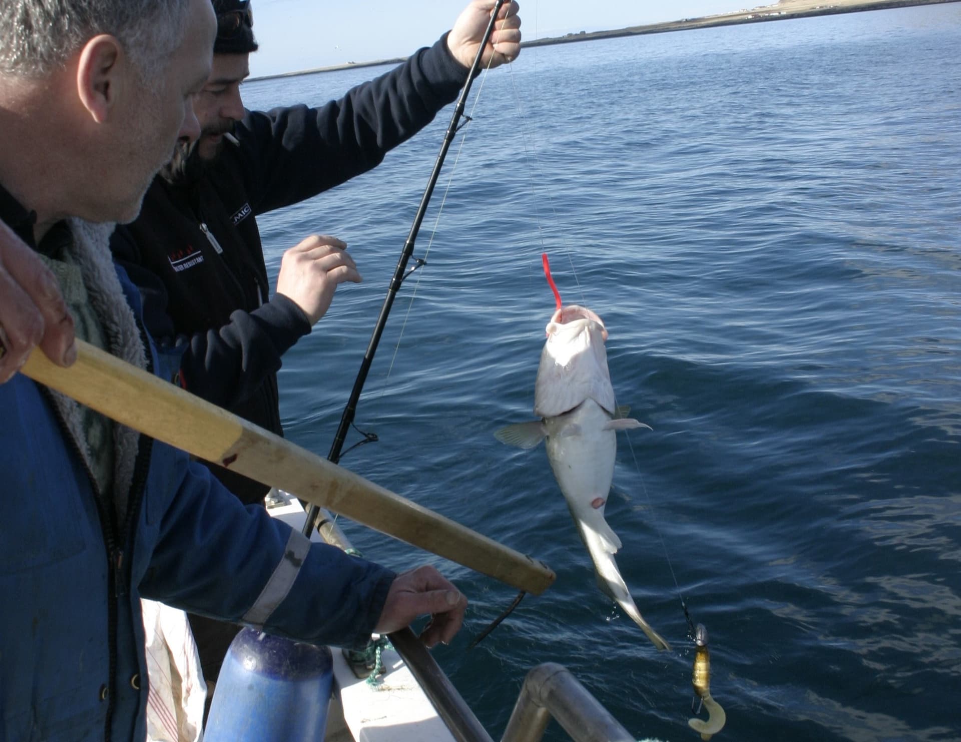 Fiskistofa úthlutar kvóta til sjóstangveiðifélaga