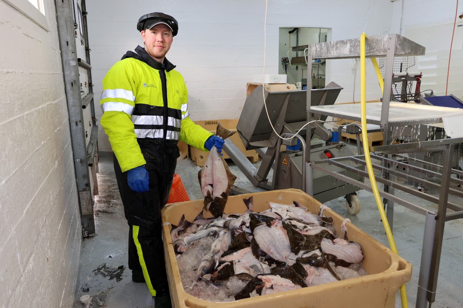 Með bíladellu frá barnsaldri