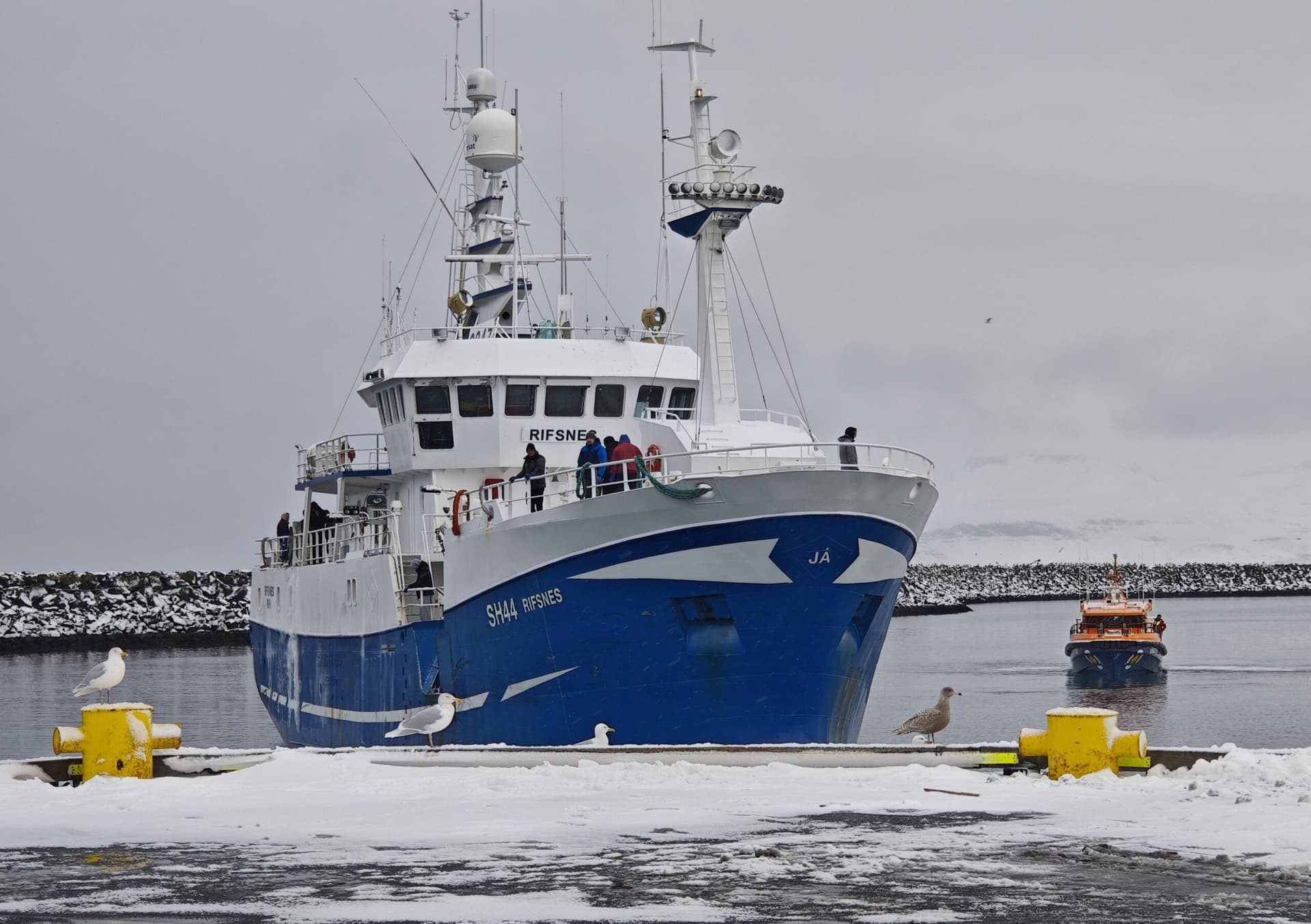 Sigldu til móts við Rifsnesið