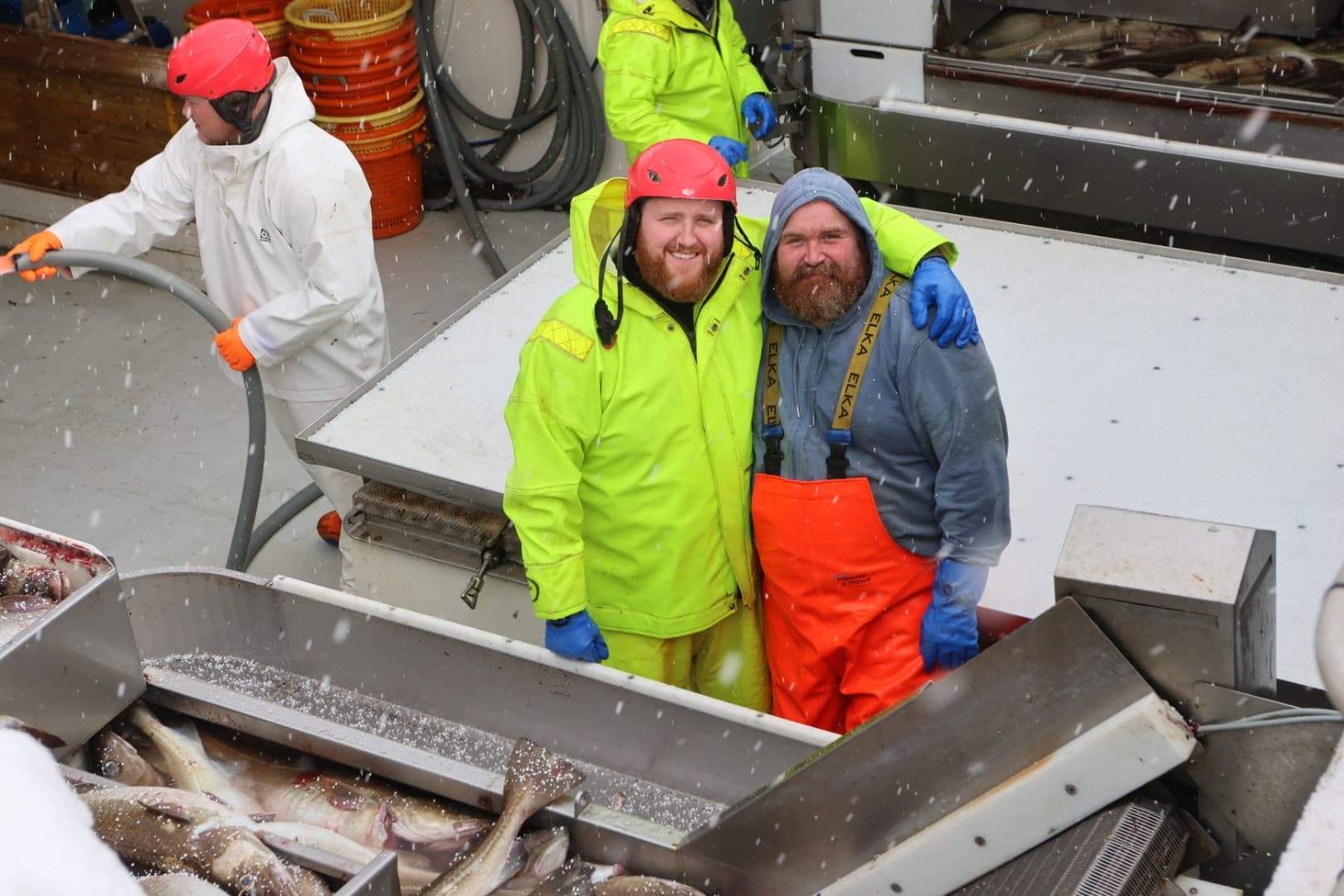 Íslandsmet hjá netabáti að falla – myndir