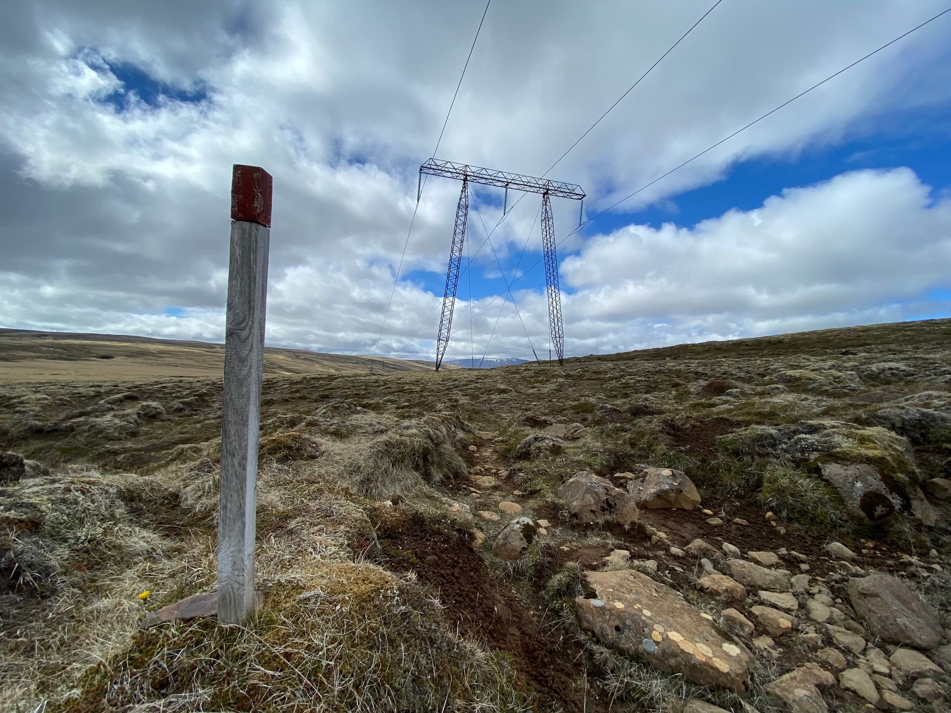 „Þetta eru skrímsli“