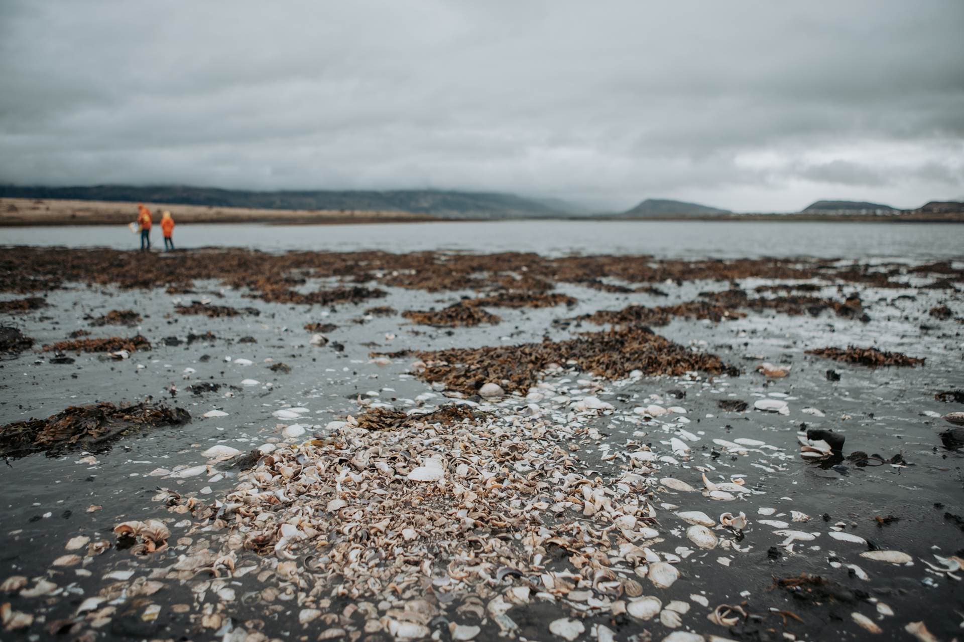 Styrkjum úthlutað til strandhreinsunar