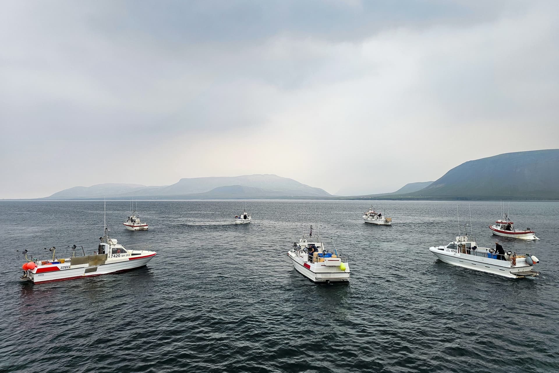 Engin fullvissa um 48 daga strandveiði
