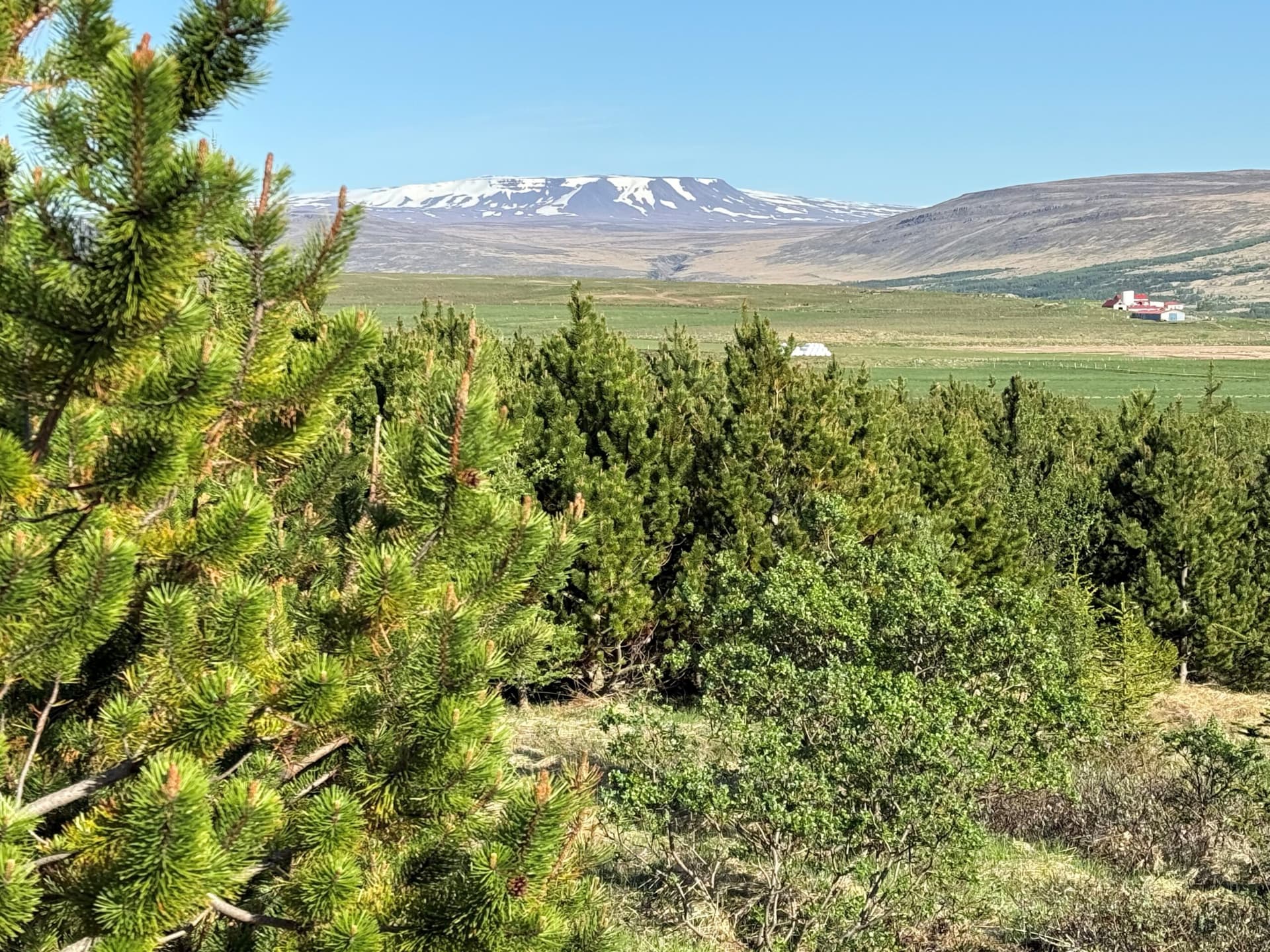 Nýliðið ár það hlýjasta frá upphafi mælinga