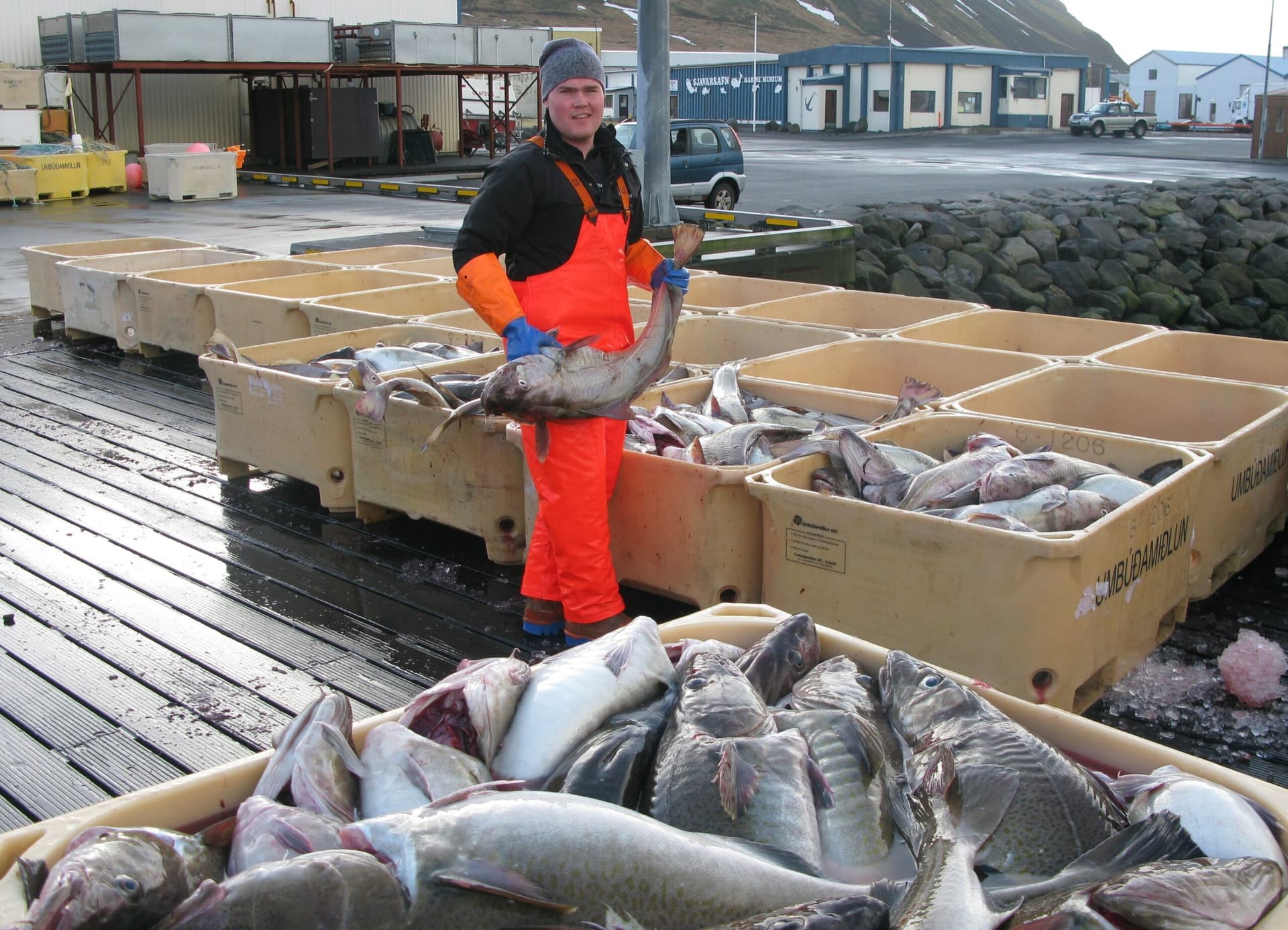 Miðað við íbúafjölda eru þriðju mestu aflaheimildirnar í Snæfellsbæ