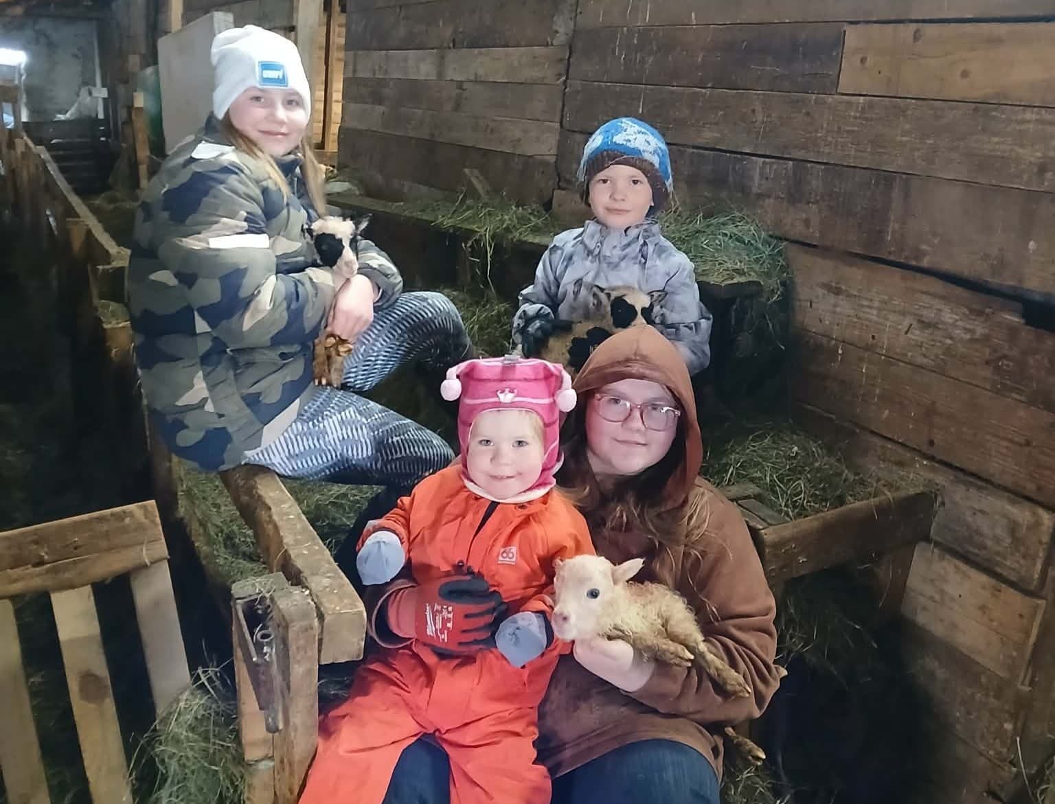 Ærin Sameining þrílembd eftir þjófstart í Skorradalnum