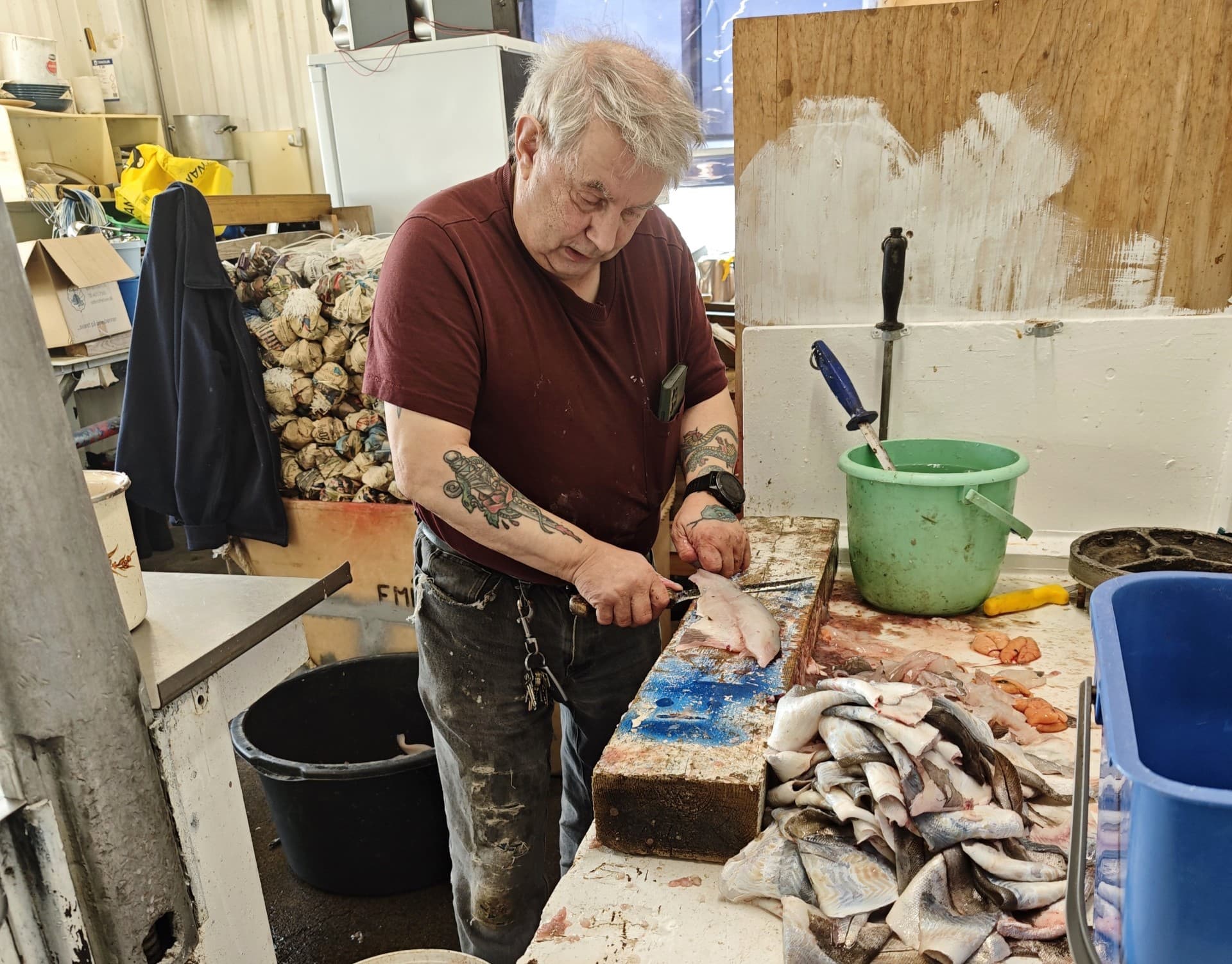 Verkar harðfisk og gefur gestum í verbúðinni