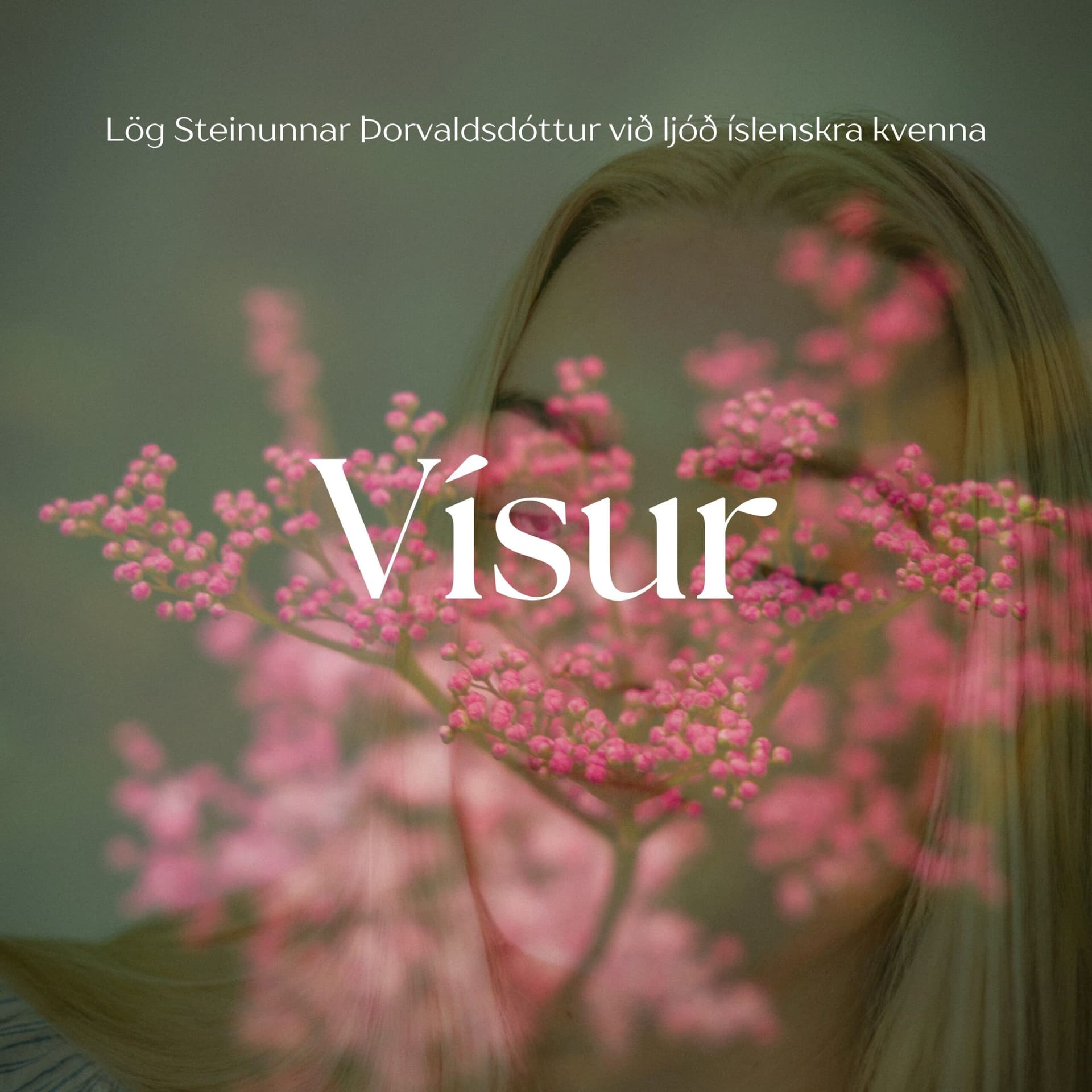 Vísur er ný hljómplata Steinunnar Þorvaldsdóttur