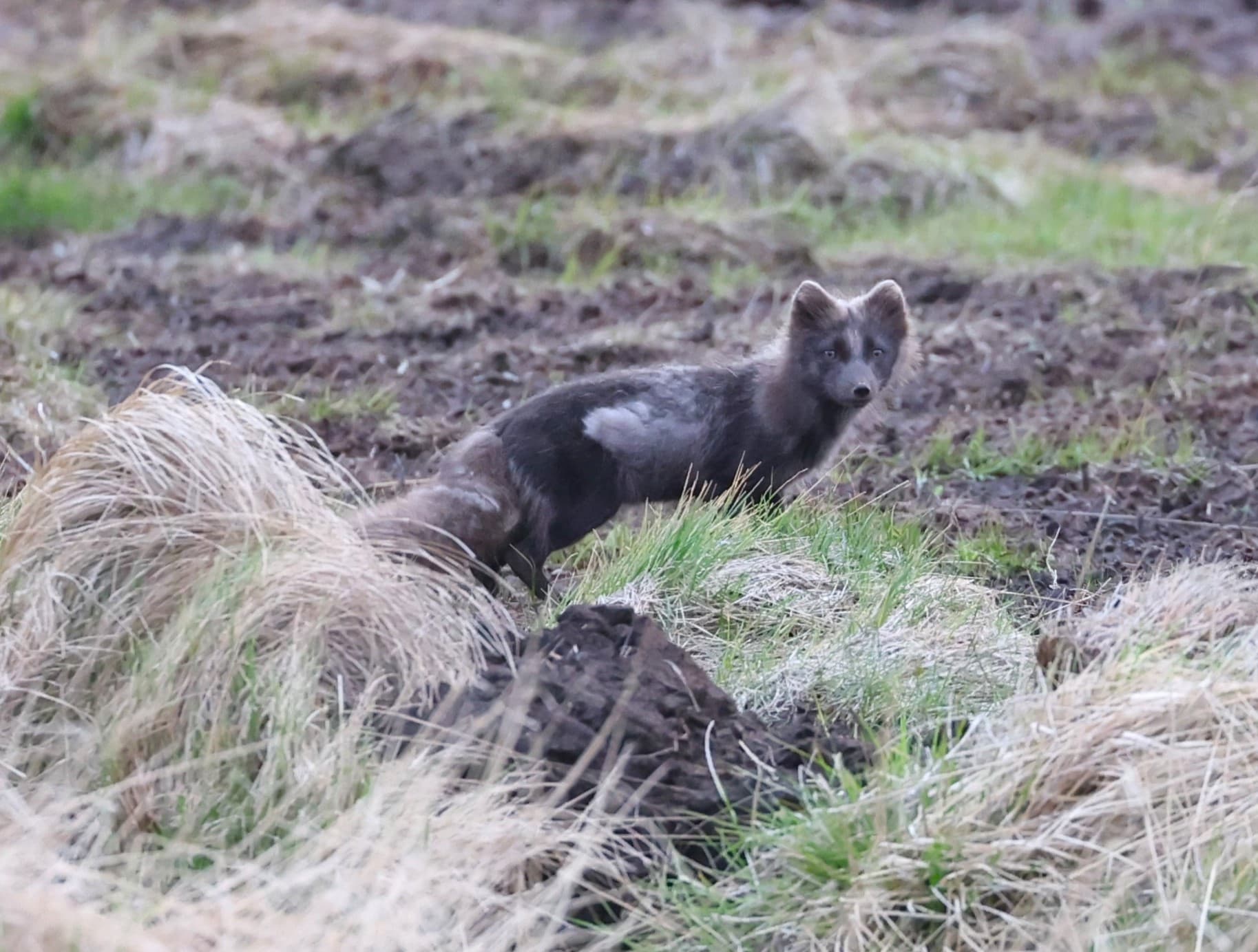 Áhugasama veiðimenn vantar til starfa