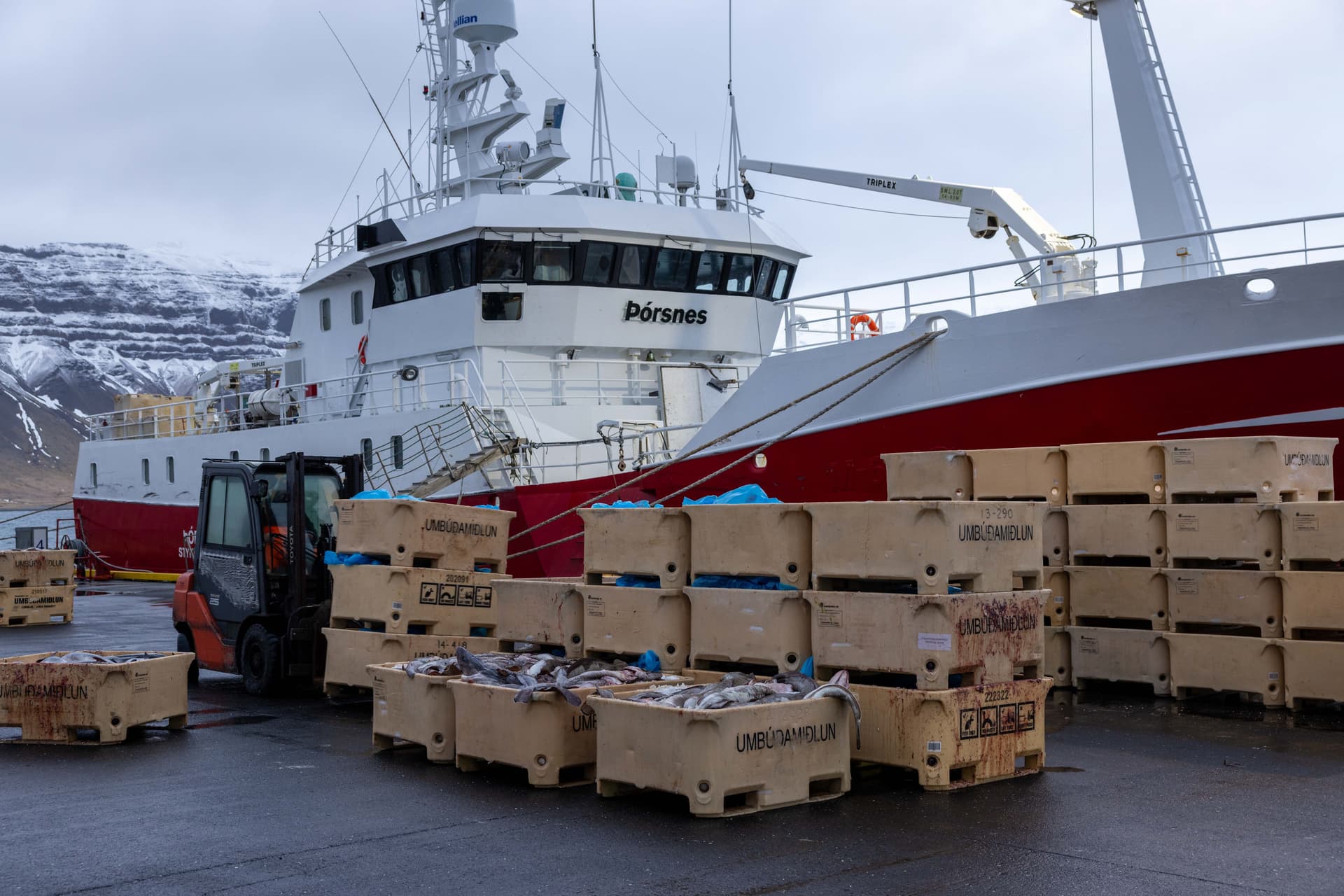 Fallið frá afnámi línuívilnunar og skelbóta