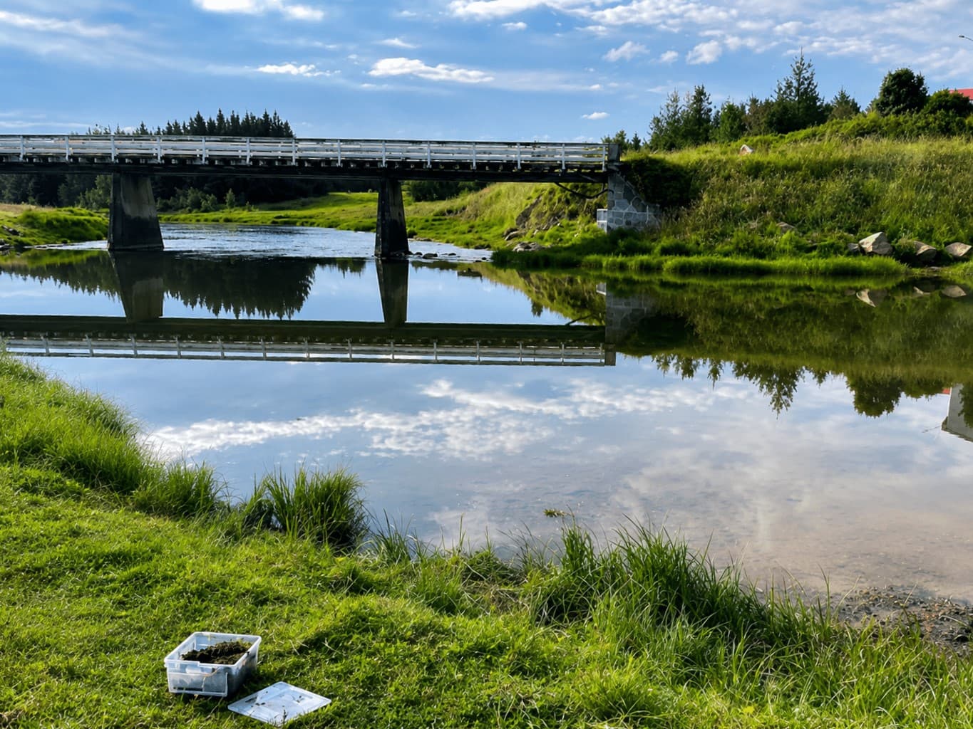 SVFR tekur við sölu veiðileyfa í Reykjadalsá