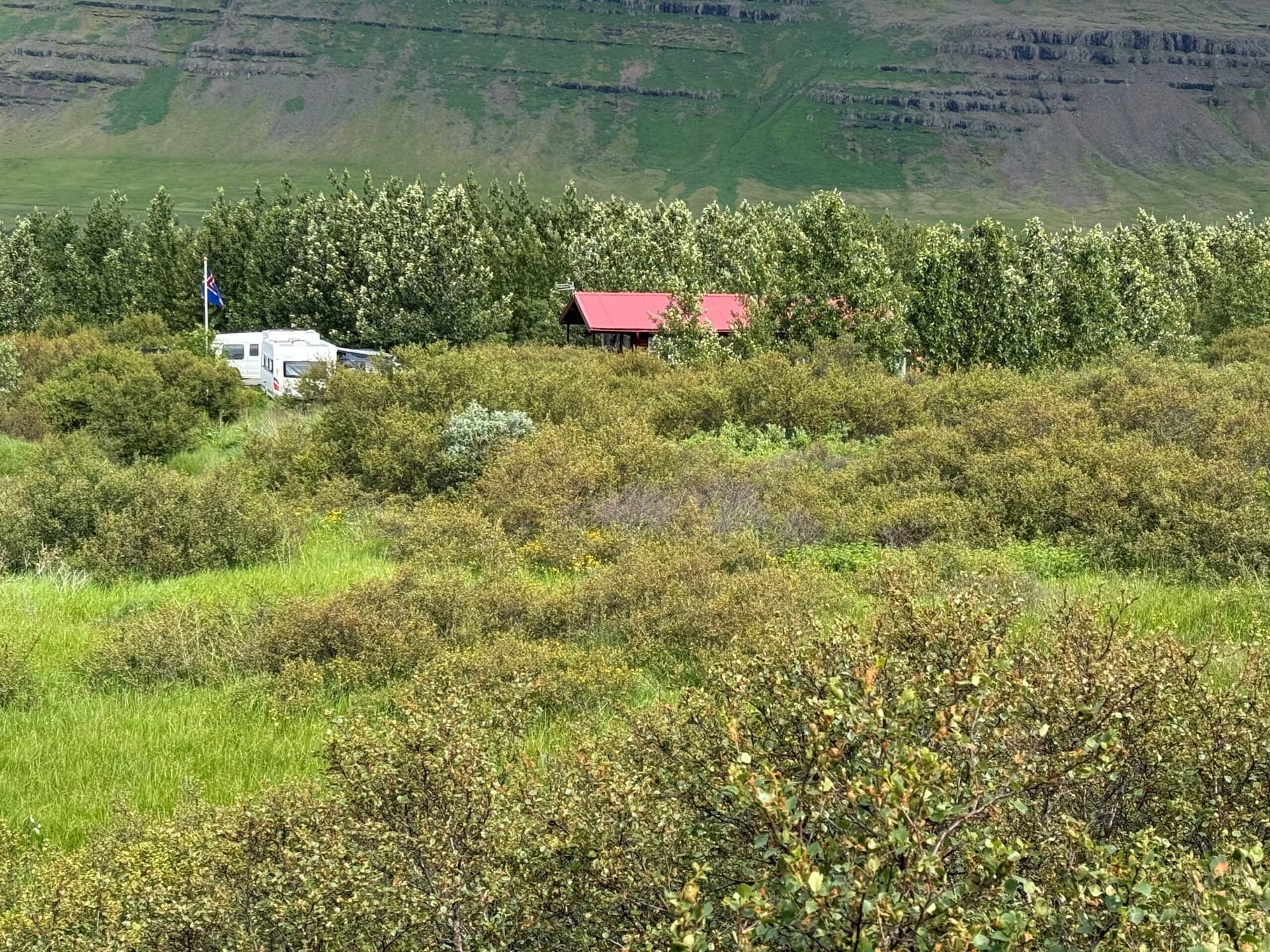Birkifeti að ná sér á strik í Svínadalnum