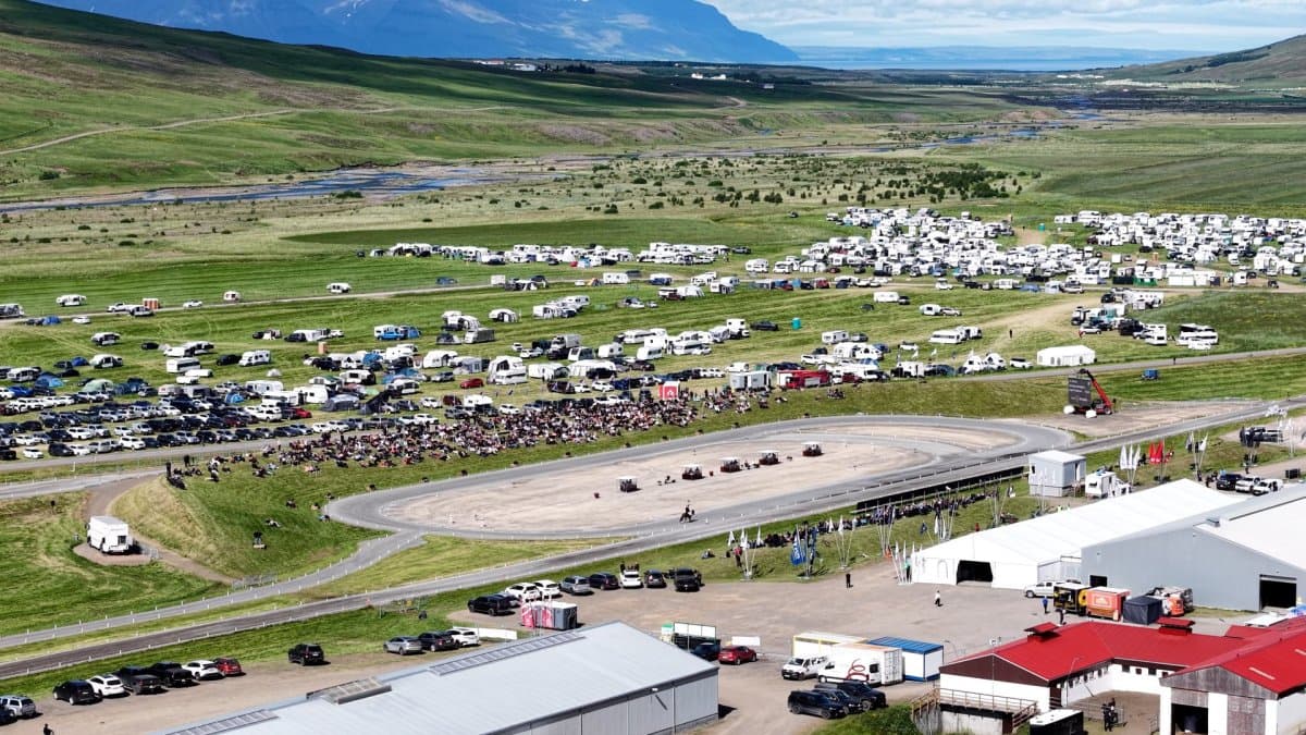 Gæðingar og góðir knapar á Landsmóti hestamanna