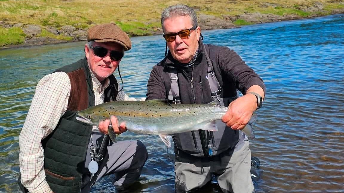 Fleiri villtir laxar veiðst á Vesturlandi en restinni af landinu