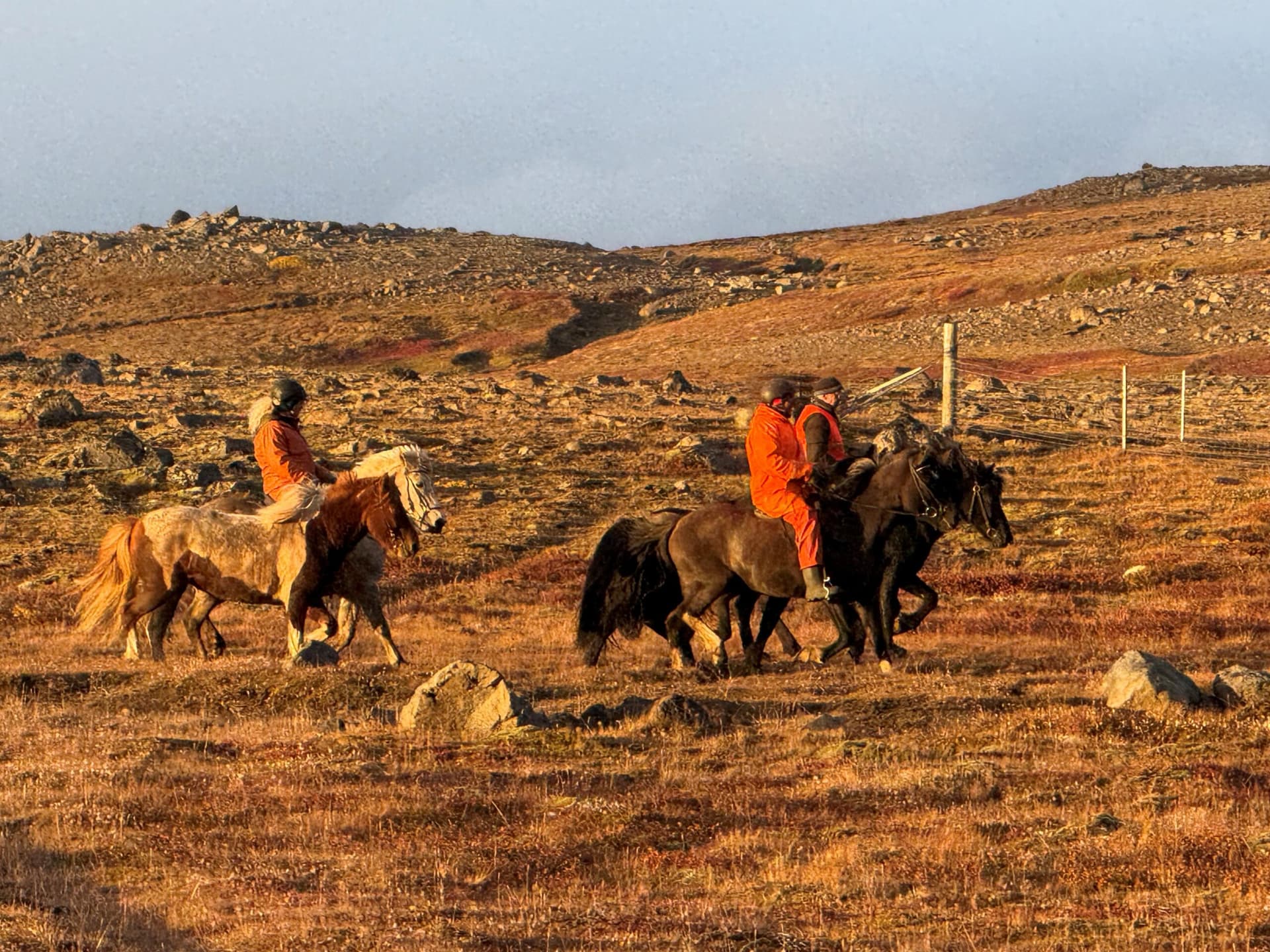 Haldið á slóðir fjallmanna á Arnarvatnsheiði – myndasyrpa