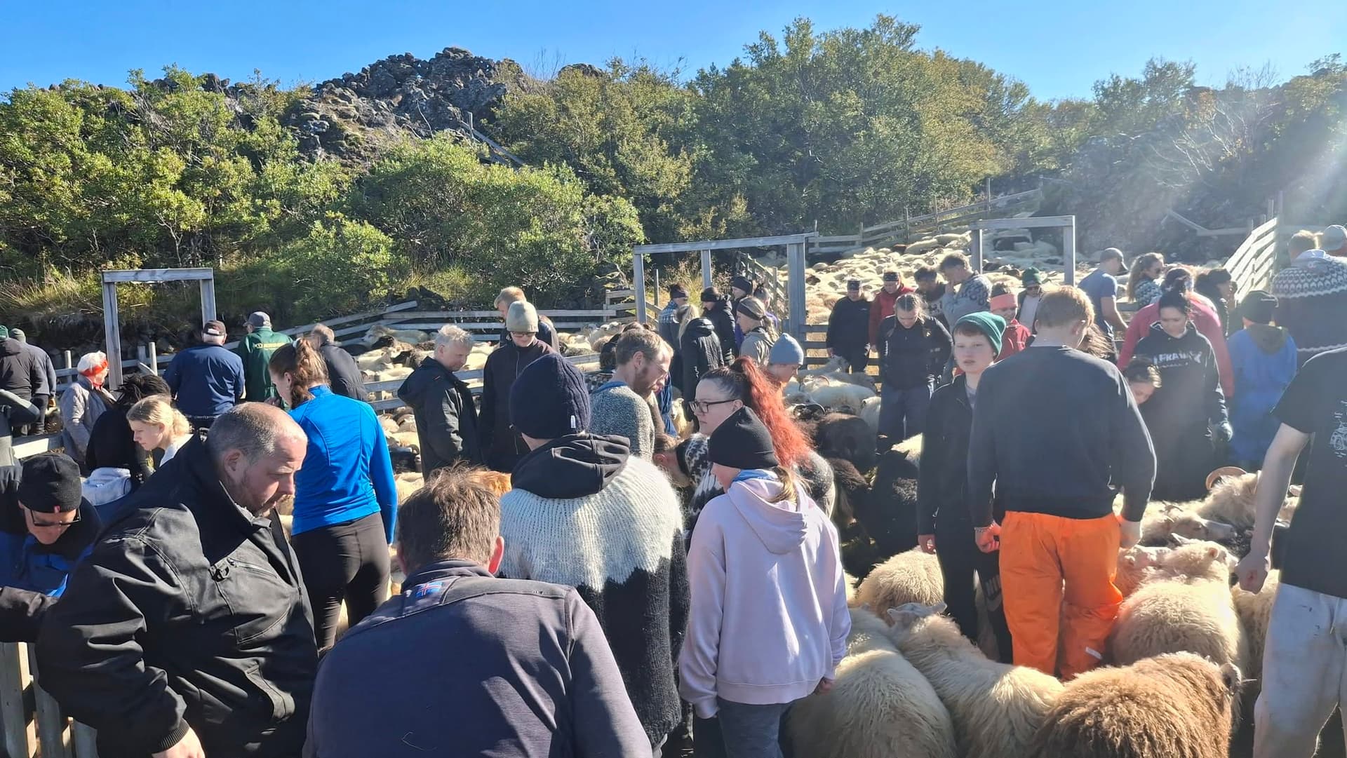 Leitir og réttir framundan