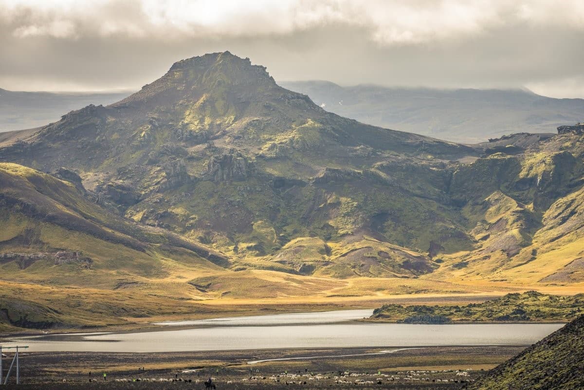 Kosið verður í dreifbýlisráð 7. nóvember