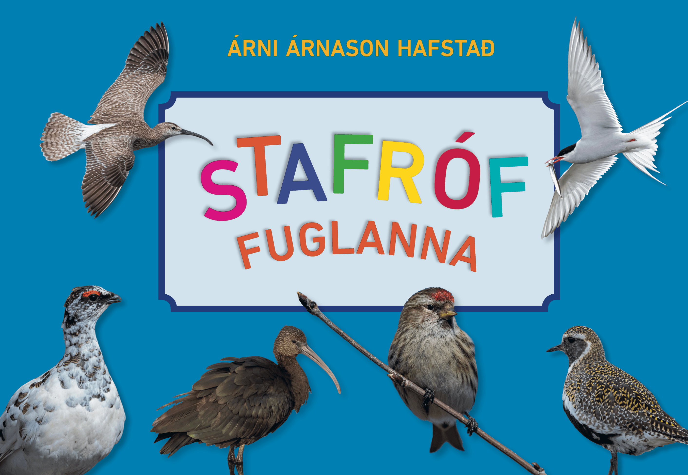 Stafróf fuglanna er ný bók ætluð börnum - Skessuhorn